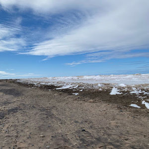 Meet your Posher, Izzy